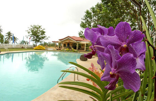 Camiguin Highland Resort Мамбахао Екстер'єр фото
